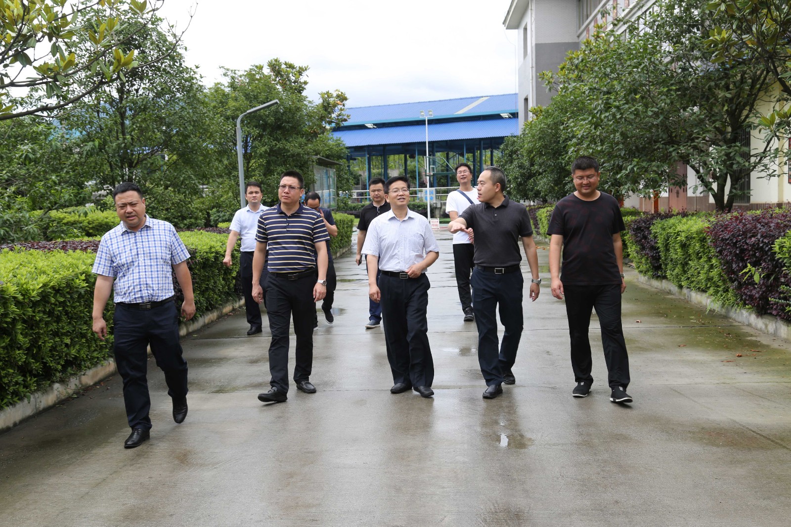 1591697116661767.jpg 1591697116661767.jpg